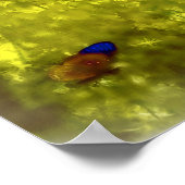 Het Poster van de vlinder (Hoek)