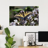 Het Poster van de Vlinder van Swallowtail van de (Thuiskantoor)