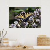 Het Poster van de Vlinder van Swallowtail van de (Keuken)