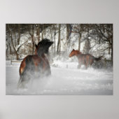 Het Poster van de winterkast (Voorkant)