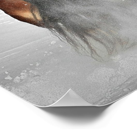 Het Poster van de winterkast (Hoek)