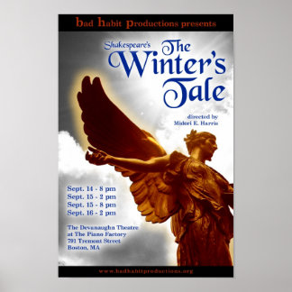 Het poster van de Winterspelen