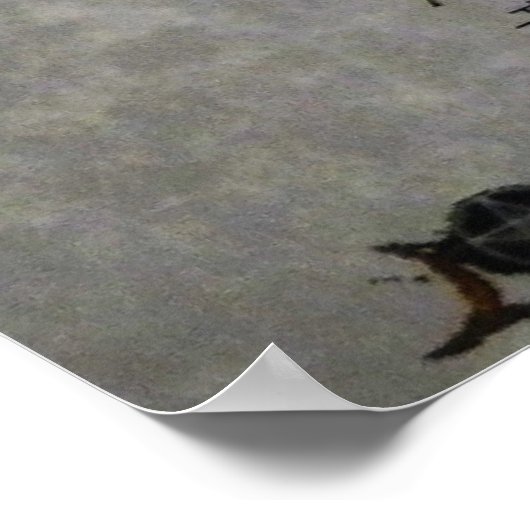 Het Poster van de Witches Chant (Hoek)