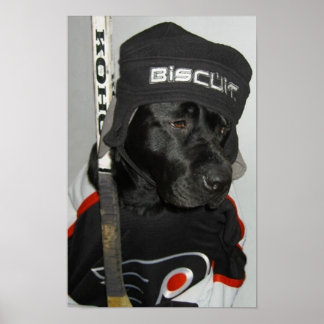 Het Poster van de Zwarte Biscuit Flyers