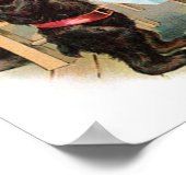 Het Poster van drie Beren (Hoek)