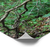 Het poster van het buitenhuis (Hoek)