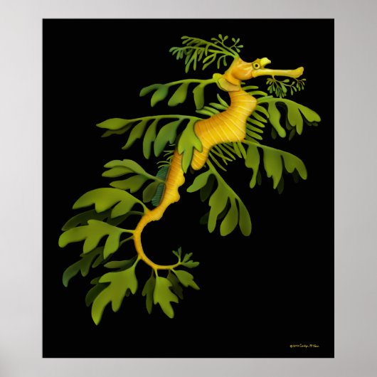 Het Poster van het Leafy Zee Dragon Seahorse (Voorkant)