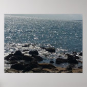 het poster van het oosterse natuurpark orient (Voorkant)