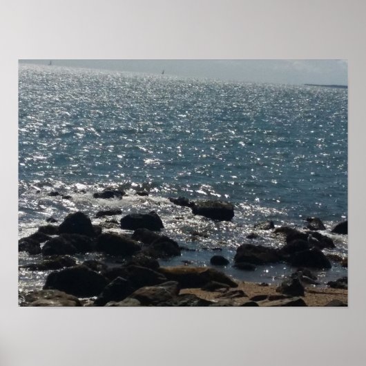 het poster van het oosterse natuurpark orient (Voorkant)