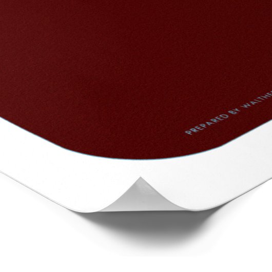 Het Poster voor reizen naar de Filipijnen is terug (Hoek)