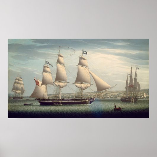 Het Poster voor Schip-favoriet - Robert Salmon Fin (Voorkant)