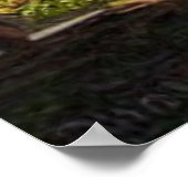 Het prachtige, betoverde Magische Village in de be Poster (Hoek)