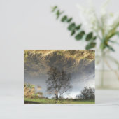 Het prachtige Bezinning Fotografie Briefkaart (Staand voorkant)