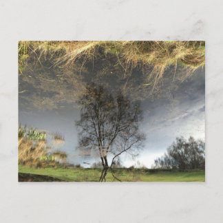 Het prachtige Bezinning Fotografie Briefkaart