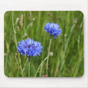 Het prachtige blauwe sierbloem van Cornflower desi Muismat