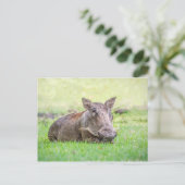 Het prachtige Briefkaart van het Wrattenzwijn (Staand voorkant)