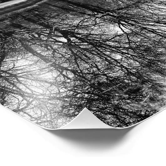 Het prachtige centrale park landschap in zwart-wit foto afdruk (Hoek)