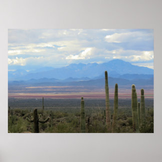 Het prachtige landschap van Arizona Poster