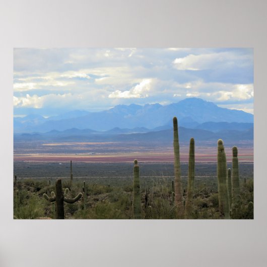 Het prachtige landschap van Arizona Poster (Voorkant)