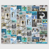 Het prachtige Penguin-fotocollage-patroon Cadeaupapier (Vlak)