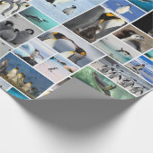 Het prachtige Penguin-fotocollage-patroon Cadeaupapier (Hoek)