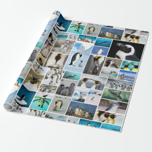 Het prachtige Penguin-fotocollage-patroon Cadeaupapier