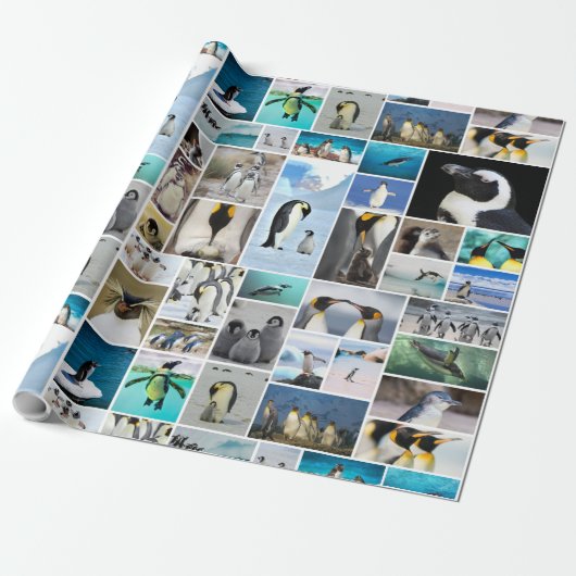 Het prachtige Penguin-fotocollage-patroon Cadeaupapier (Uitgerold)