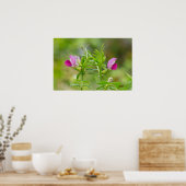 Het prachtige Poster Twin Everduurzame Pea (Keuken)