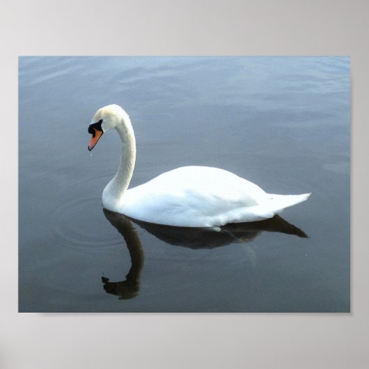 Het prachtige Poster van de Bezinning van Swan (Voorkant)