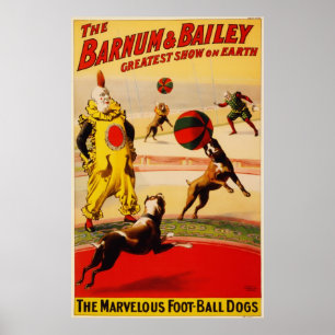 Het prachtige Poster van de Foot-Ball Dogs Circus