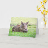 Het prachtige Wenskaart van het Wrattenzwijn Kaart (Gele Bloem)