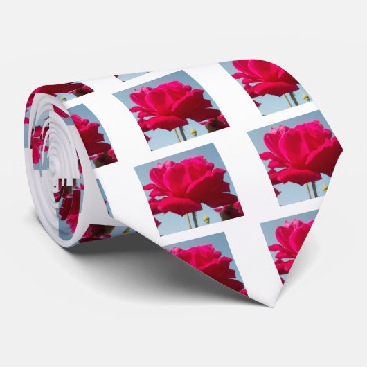 Het prachtige, wonderbaarlijke Roos van Hakuna Mat Stropdas (Opgerold)