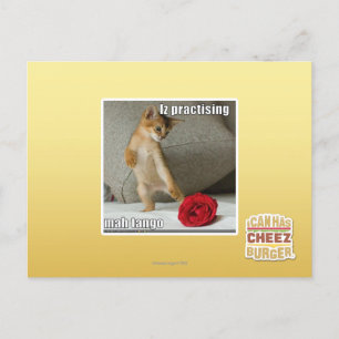 Het praktizeren van Iz mah tango Briefkaart