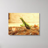 Het Praying Mantis Canvas drukt af (Voorkant)
