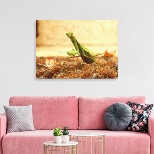 Het Praying Mantis Canvas drukt af (Insitu (Woonkamer))