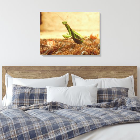 Het Praying Mantis Canvas drukt af (Insitu (Slaapkamer))