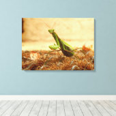 Het Praying Mantis Canvas drukt af Afdruk (Insitu (Houten vloer))
