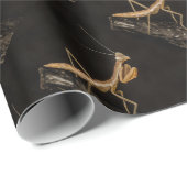 Het preken van Mantis komt overeen met de creepy I Cadeaupapier (Rol Hoek)