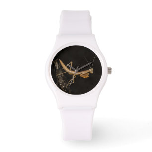 Het preken van Mantis komt overeen met de creepy I Horloge