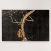 Het preken van Mantis komt overeen met de creepy I Legpuzzel (Horizontaal)