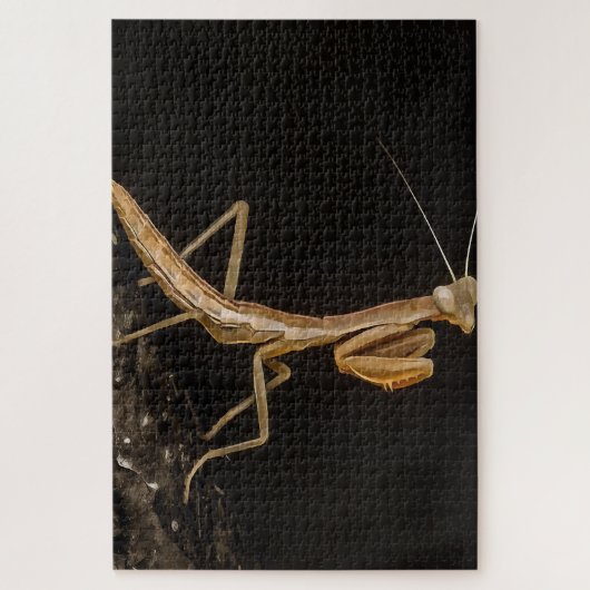 Het preken van Mantis komt overeen met de creepy I Legpuzzel (Verticaal)