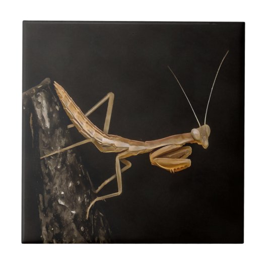 Het preken van Mantis komt overeen met de creepy I Tegeltje (Voorkant)