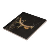 Het preken van Mantis komt overeen met de creepy I Tegeltje (Zijkant)