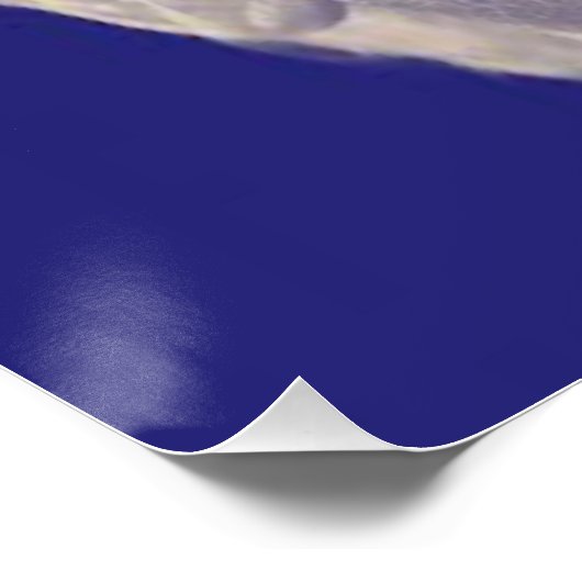 Het President Perfect Poster (Hoek)