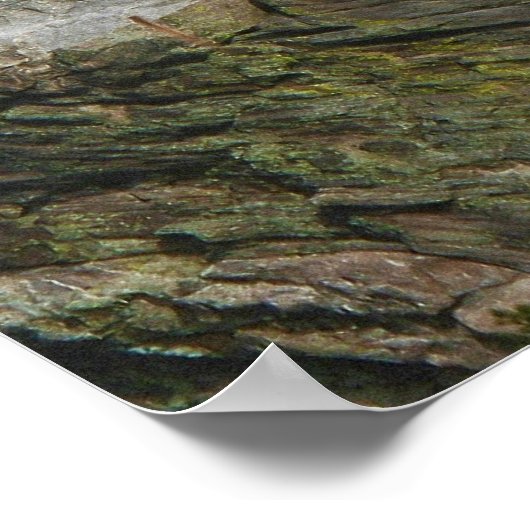 Het presidentiële monument van Mount Rushmore Poster (Hoek)