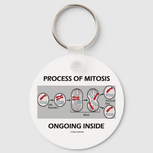 Het proces van mitose aan de binnenkant sleutelhanger (Voorkant)