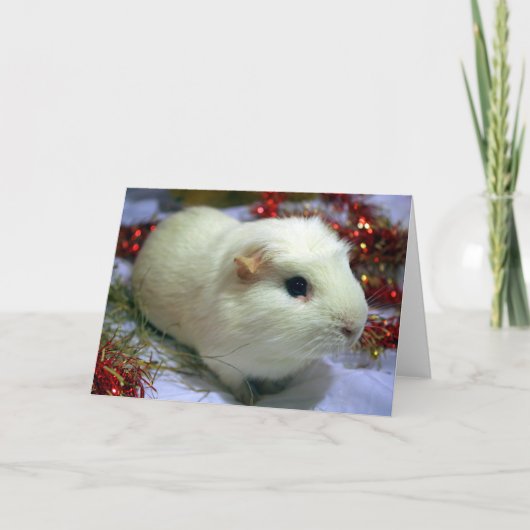 Het proefkonijn van de kerstkaart feestdagen kaart (Voorkant)