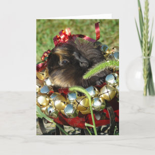 Het Proefkonijn van Jingle Bell Feestdagen Kaart