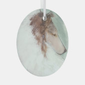 Het Profiel Glas Ornament (Voorkant Rechts)