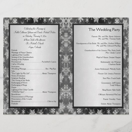 Het programma voor het trekken van zwarte en zilve (Achterkant)